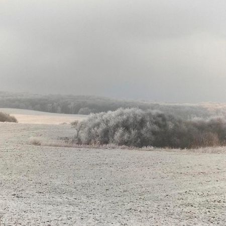 Ferienwohnung Uckermarkblick Ziehten المظهر الخارجي الصورة