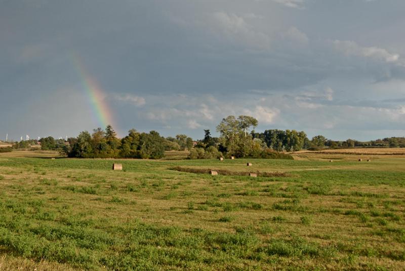 Ferienwohnung Uckermarkblick Ziehten المظهر الخارجي الصورة