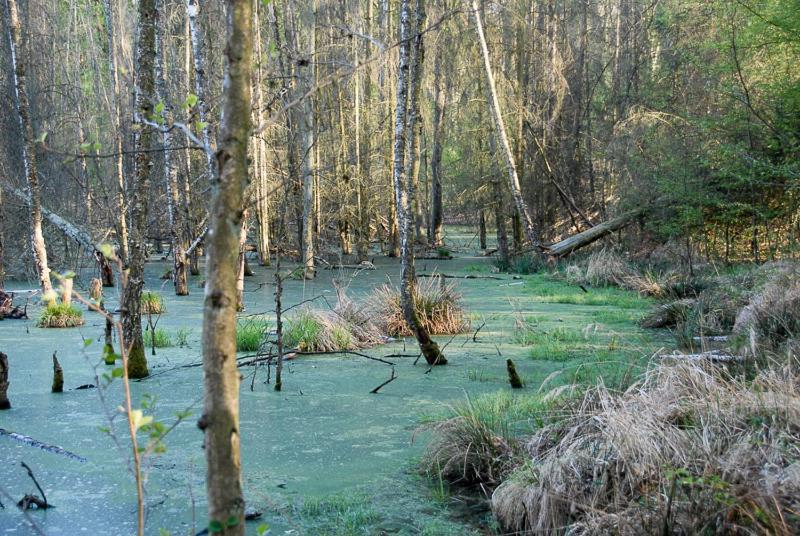 Ferienwohnung Uckermarkblick Ziehten المظهر الخارجي الصورة