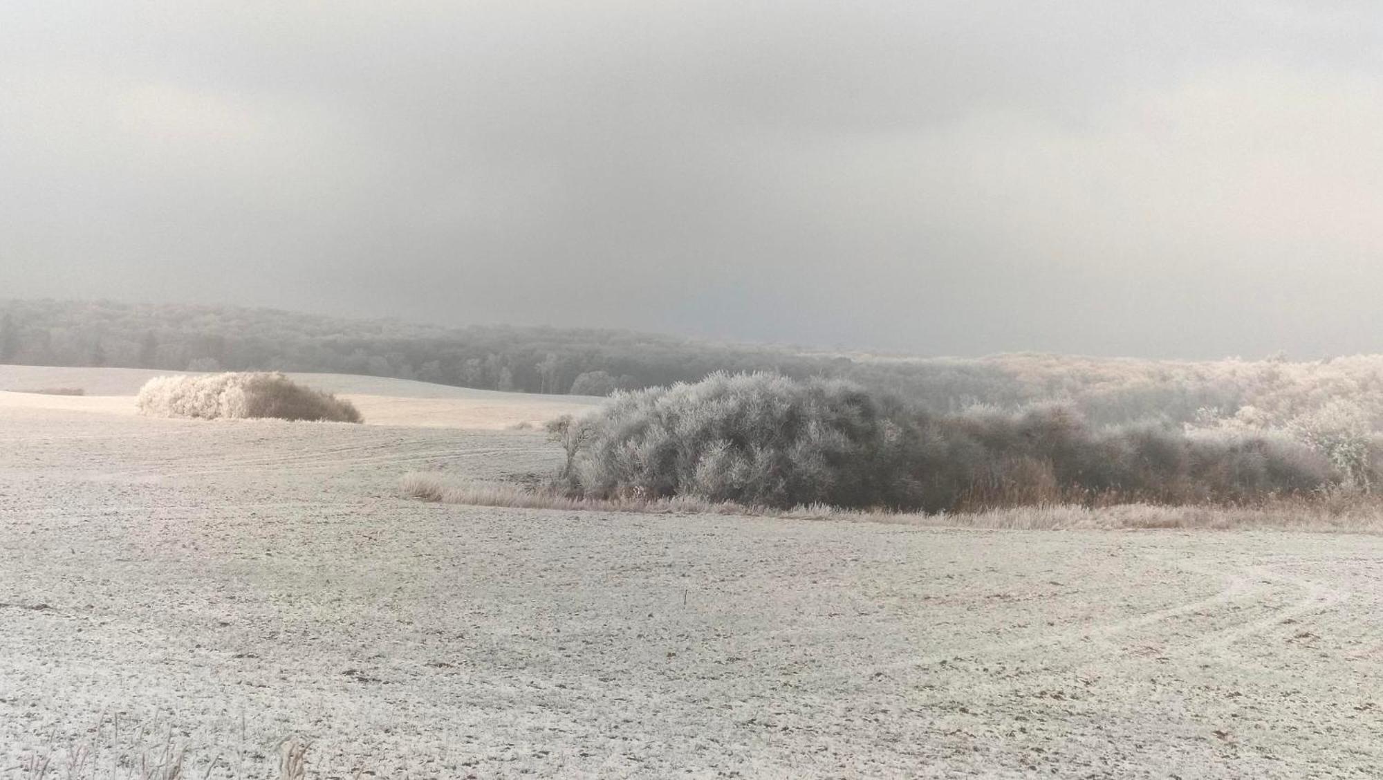 Ferienwohnung Uckermarkblick Ziehten المظهر الخارجي الصورة